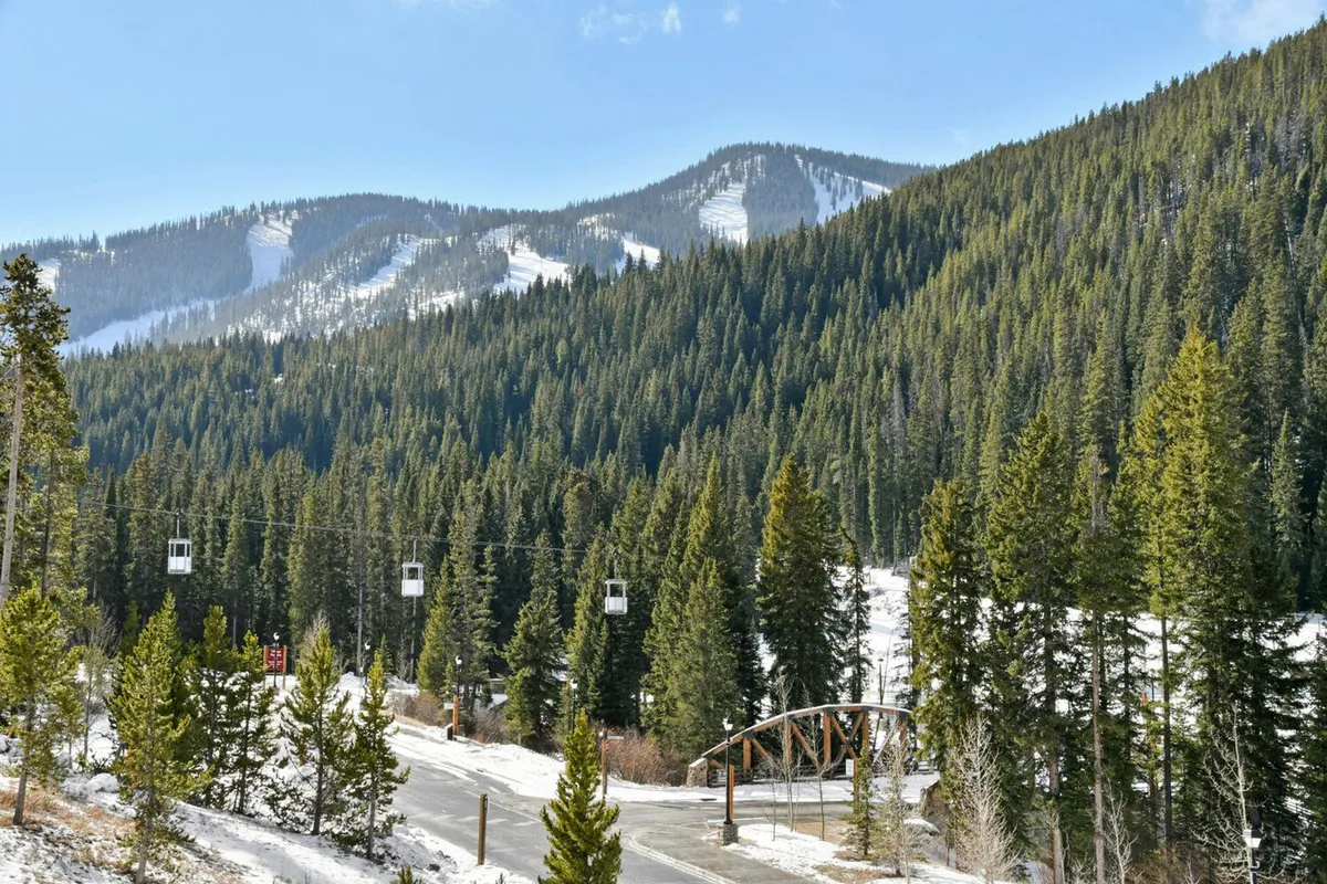 A sweeping view of snow-capped mountains, lush evergreen forests, ski lift gondolas, a wooden bridge, and a winding road. The landscape hints at the range of outdoor adventures available in every season, from skiing to hiking.